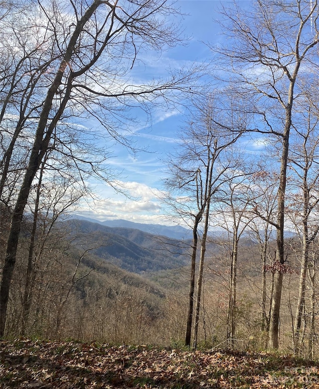 Listing photo 3 for 0 Hickory Nut Trl Unit 62, Sylva NC 28779