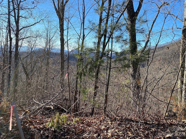 0 Hickory Nut Trl Unit 61, Sylva NC, 28779 land for sale