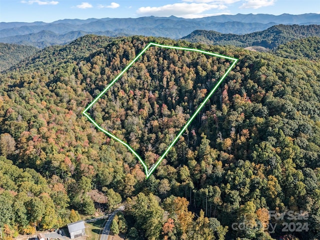 000 Watershed Rd Unit 2, Mars Hill NC, 28754 land for sale