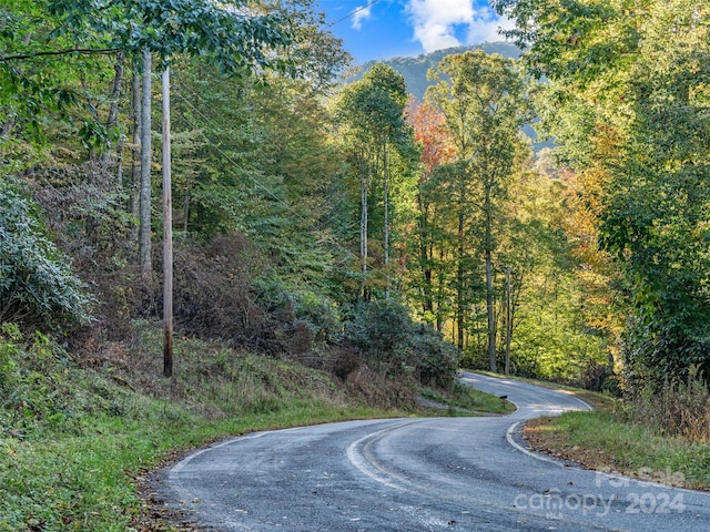 Listing photo 2 for 000 Watershed Rd Unit 2, Mars Hill NC 28754