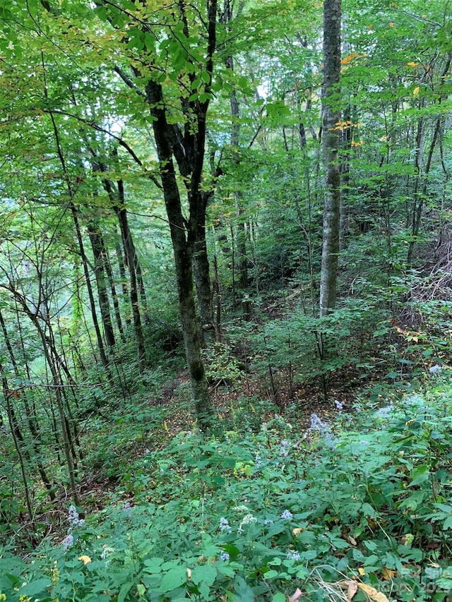 Listing photo 2 for 99999 Plott Balsam Rd Lot 76, Maggie Valley NC 28751