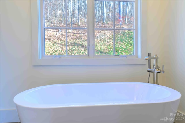 bathroom featuring a bathing tub