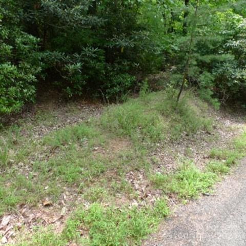 Listing photo 3 for LOT17 Mountain View Dr Unit 17, Lowgap NC 27024