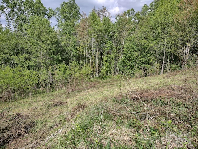 Listing photo 3 for 000 Morning Mist Ln Lot 13, Waynesville NC 28785