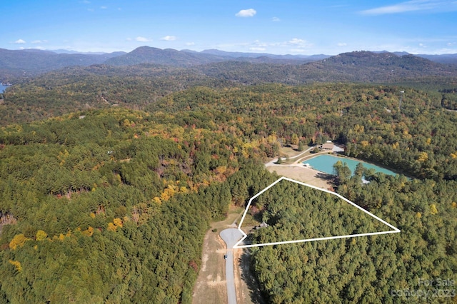 aerial view with a mountain view