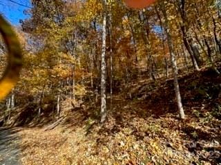 19 Lochmoor Ln, Waynesville NC, 28785 land for sale