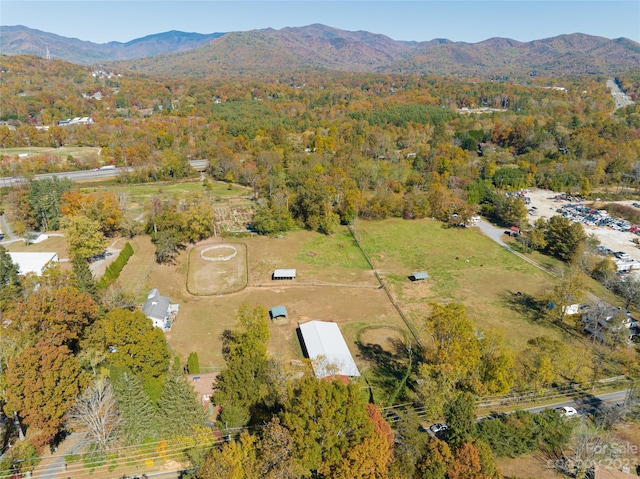 500 Blue Ridge Rd, Black Mountain, NC 28711 - photo 2
