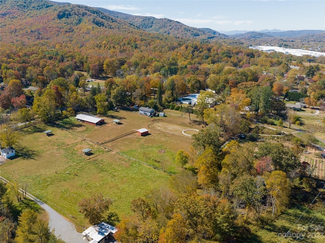 500 Blue Ridge Rd, Black Mountain, NC 28711 - photo 3