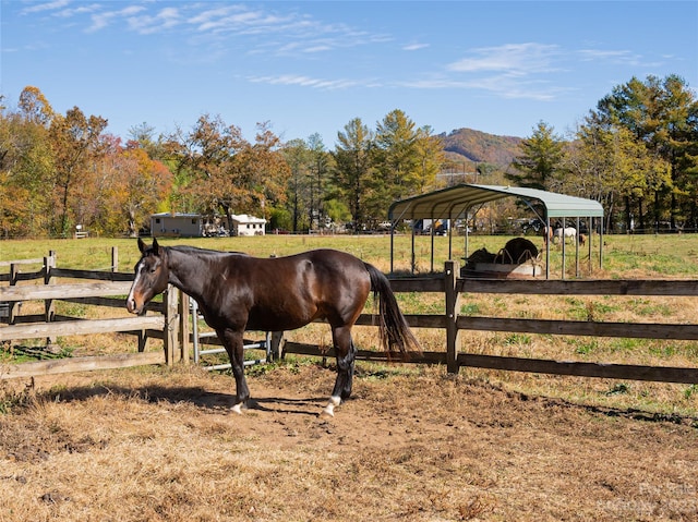500 Blue Ridge Rd, Black Mountain, NC 28711 - photo 28