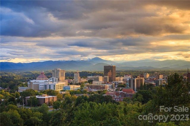 property's view of city with a mountain view