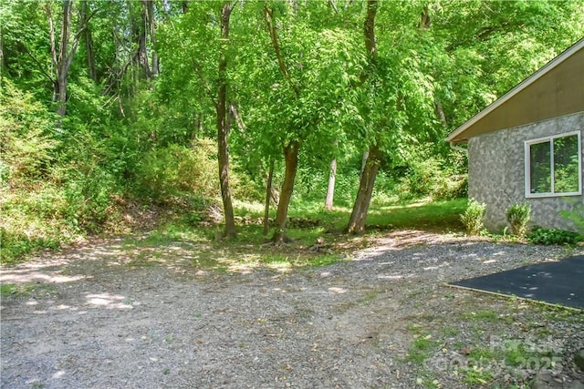 543 College St, Asheville, NC 28801 - view of yard