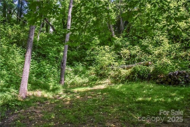 543 College St, Asheville, NC 28801 - view of woods
