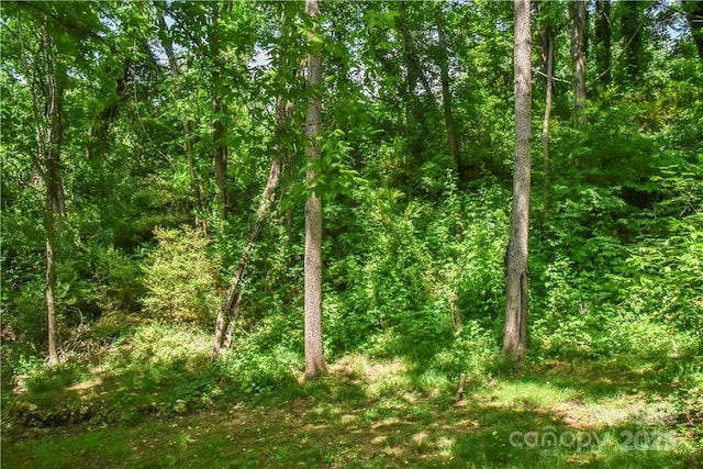 543 College St, Asheville, NC 28801 - view of wooded area