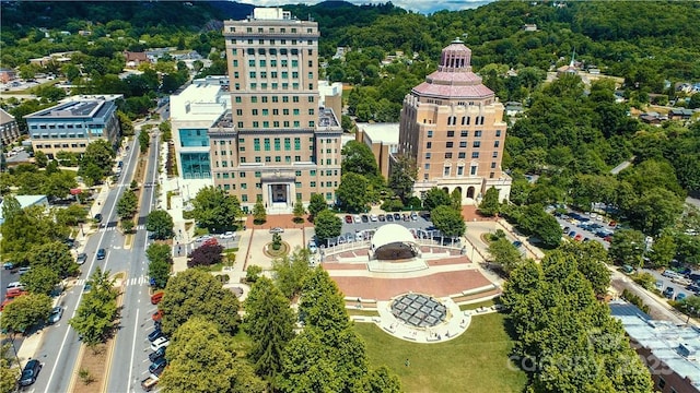 543 College St, Asheville, NC 28801 - bird's eye view of a forest