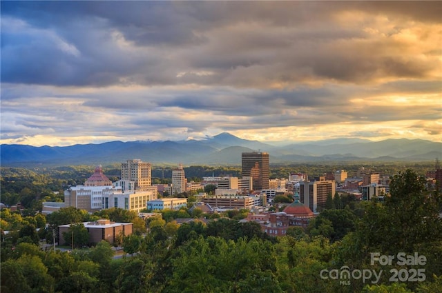 543 College St, Asheville, NC 28801 - city view with a mountainous background