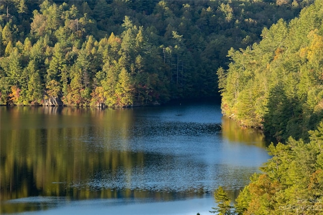 view of water view