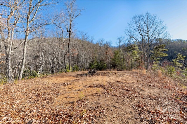 9999 Sourwood Rd, Canton, NC 28716 - view of tree filled area