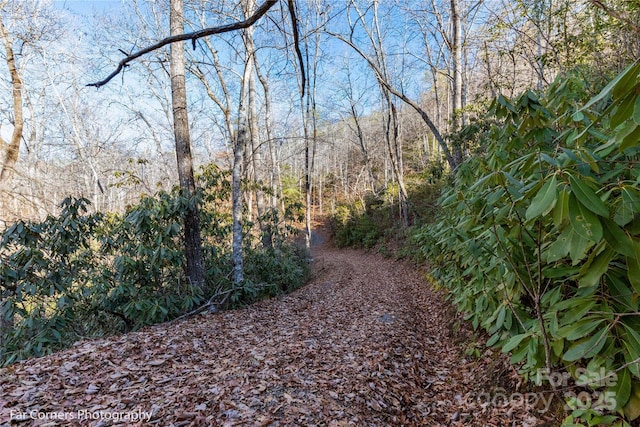 9999 Sourwood Rd, Canton, NC 28716 - view of yard with a forest view