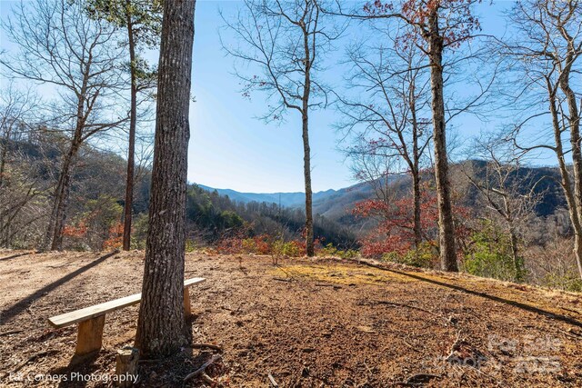 9999 Sourwood Rd, Canton, NC 28716 - mountain view