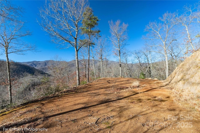9999 Sourwood Rd, Canton, NC 28716 - view of mountain background