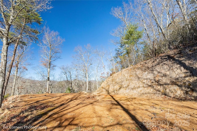 9999 Sourwood Rd, Canton, NC 28716 - view of yard