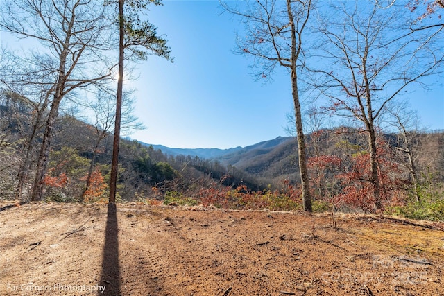 9999 Sourwood Rd, Canton, NC 28716 - view of mountain backdrop