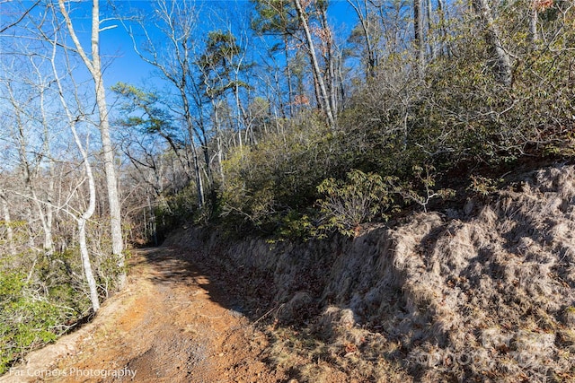 9999 Sourwood Rd, Canton, NC 28716 - view of tree filled area