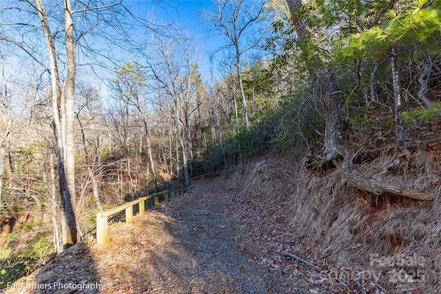 9999 Sourwood Rd, Canton, NC 28716 - view of tree filled area