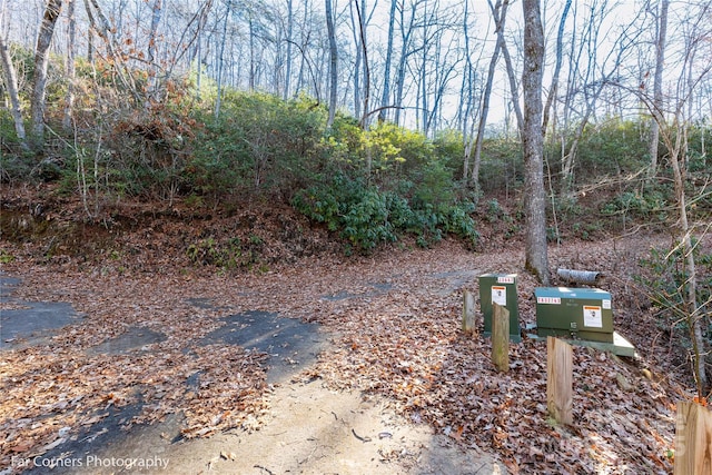 9999 Sourwood Rd, Canton, NC 28716 - view of yard