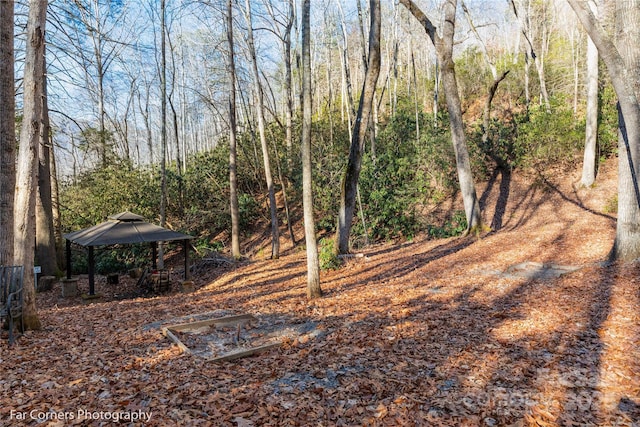 9999 Sourwood Rd, Canton, NC 28716 - view of yard with a gazebo