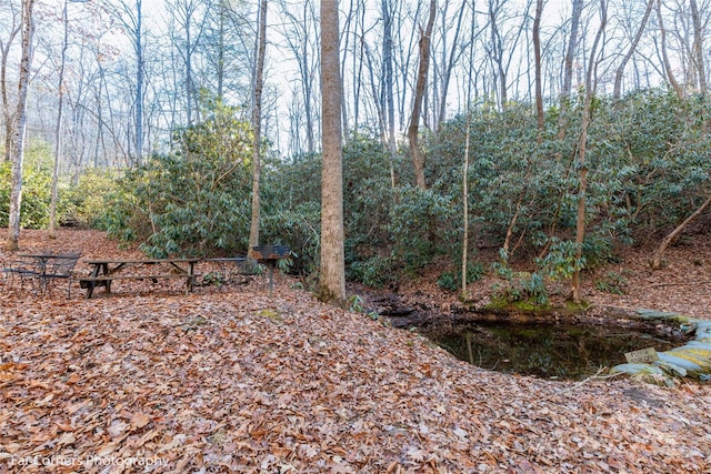 9999 Sourwood Rd, Canton, NC 28716 - view of nature