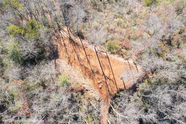 9999 Sourwood Rd, Canton, NC 28716 - bird's eye view