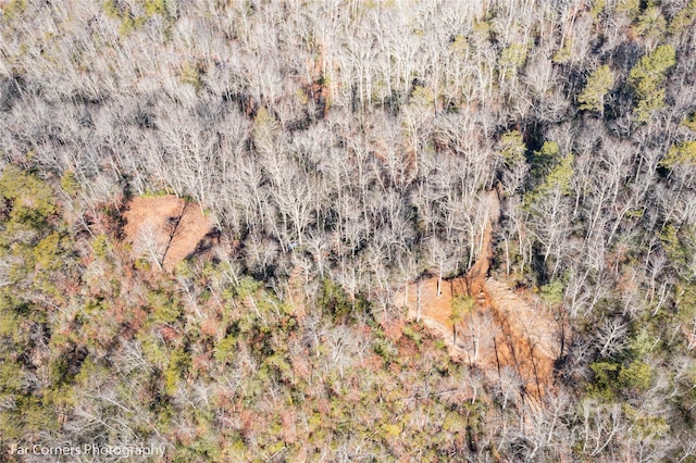 9999 Sourwood Rd, Canton, NC 28716 - drone / aerial view