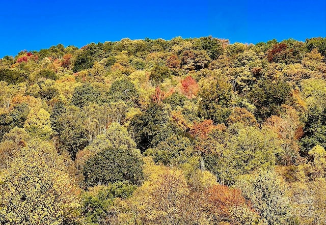 9999 Sourwood Rd, Canton, NC 28716 - view of mountain background with a heavily wooded area