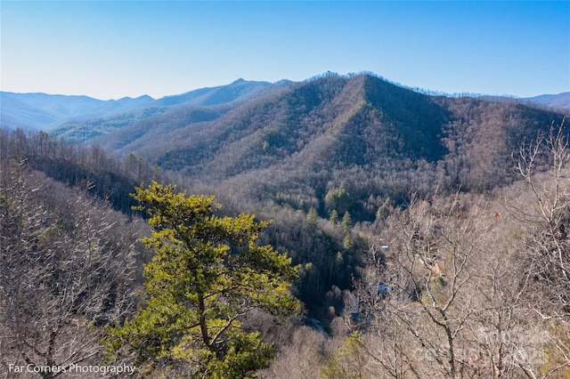 9999 Sourwood Rd, Canton, NC 28716 - view of mountain backdrop featuring a heavily wooded area