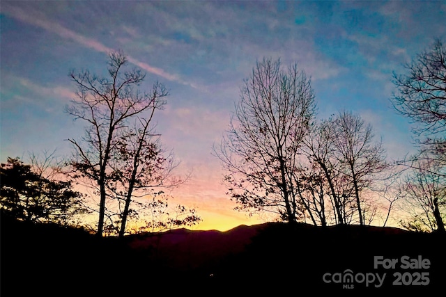 9999 Sourwood Rd, Canton, NC 28716 - view of mountain background