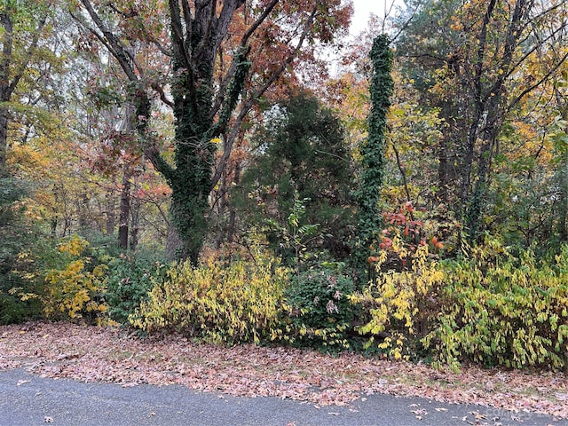 Listing photo 3 for LOT7 Idlewood Acres Rd, Hickory NC 28601