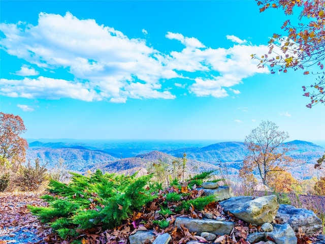 9999 Cliffledge Trl Unit 25, Black Mountain NC, 28711 land for sale