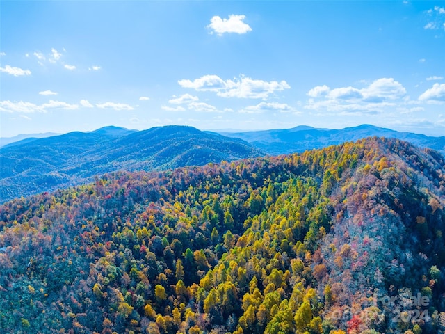 Listing photo 2 for 9999 Cliffledge Trl Unit 25, Black Mountain NC 28711