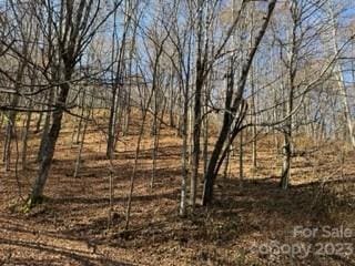 00 Tawodi Trl Unit 13, Maggie Valley NC, 28751 land for sale