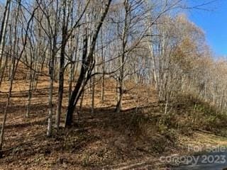 Listing photo 3 for 00 Tawodi Trl Unit 13, Maggie Valley NC 28751