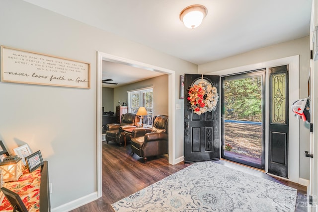 entryway featuring dark wood-type flooring