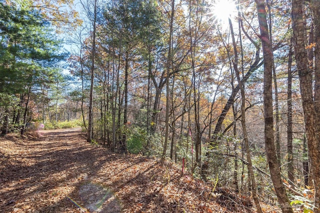 Listing photo 3 for 000 Needmore Rd, Bryson City NC 28713