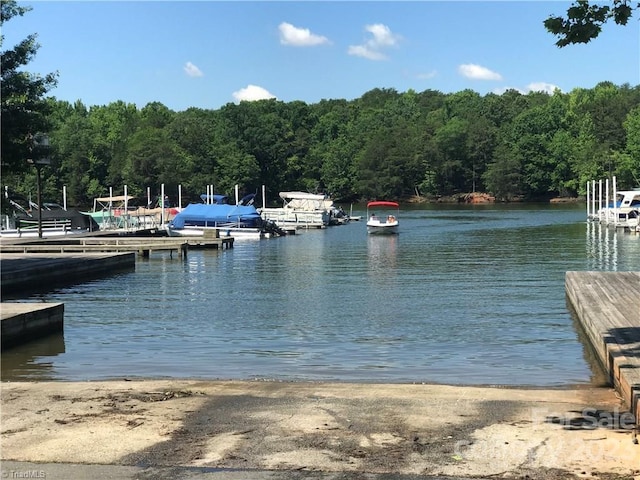 dock area featuring a water view