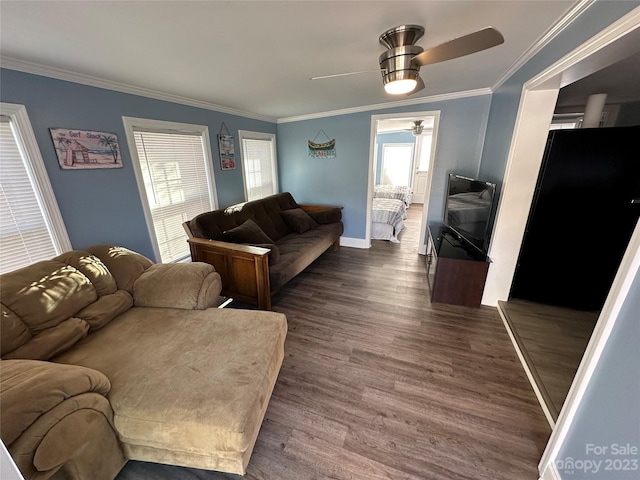 living room featuring dark hardwood / wood-style floors, ceiling fan, and ornamental molding