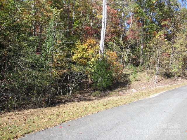 Listing photo 3 for 000 Trail Ridge Dr, Marion NC 28752