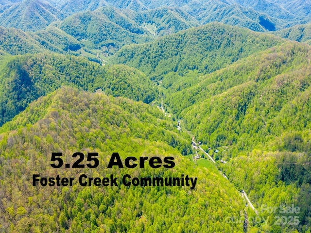 00 Foster Creek Rd, Marshall, NC 28753 - photo 2