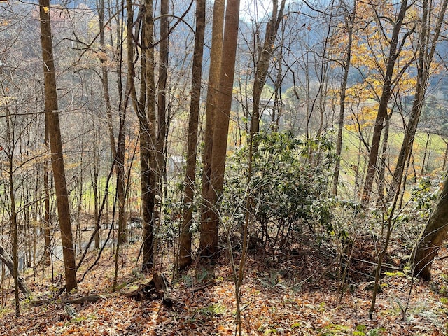 00 Foster Creek Rd, Marshall, NC 28753 - photo 13