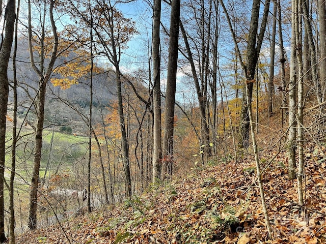 00 Foster Creek Rd, Marshall, NC 28753 - photo 14
