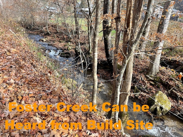 00 Foster Creek Rd, Marshall, NC 28753 - photo 15